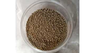 single cell protein mycoprotein 70%