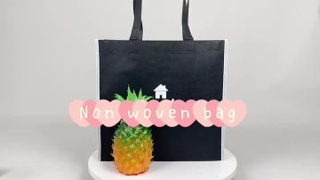 Non Woven Shopping Bag