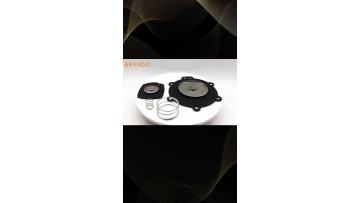 Turbo Type 1.5'' Pulse Jet Diaphragm Valve Mem