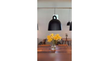 Minimalist golden bell shape resin hanging light