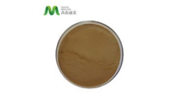 Manufactural Bulk Herbal Extract Organic Mung Bean Sprout Extract Powder1