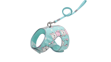 cat harness and leash set