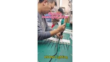 Dimmable downlight