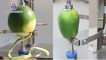 TS-P80 vegetable peeling machine