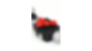 Monoblock Directional Valve