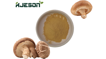 Shiitake Mushroom Extract