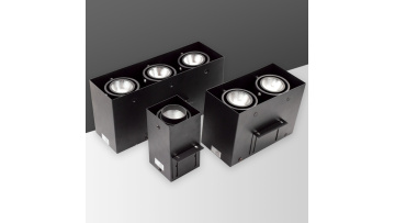 Double head square downlight