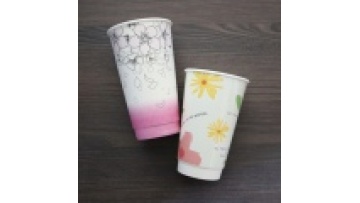 Sleek and Modern PE/PLA Paper Cold Drink Cups 20oz Double-PE Cups for Trendy Bars and Cafes1