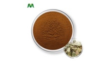 Organic Epimedium Extract Powder 10% Icariin1