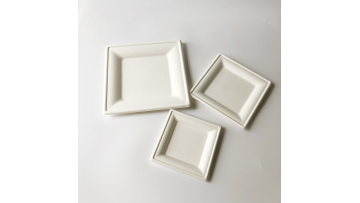 bagasse pulp square plates