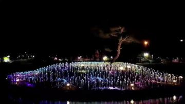 Fiber optic feildlight 