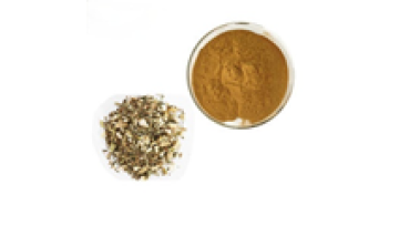 Cao Clear Heat and Regulate Menses Motherwort Herb Extract Brown Fine Powder TLC Free Sample Solvent Extraction 4:1 10:1 20:11