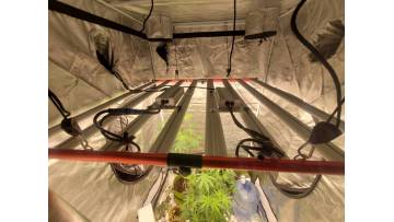 M800 LED Grow Light