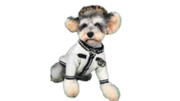 Luxury Black and White Schnauzer Teddy Corgi Pet Coat Knitted Sweater1
