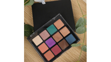 No LOGO 12 Color eyeshadow palettes custom private label maquiagem makeup eyeshadow palette1
