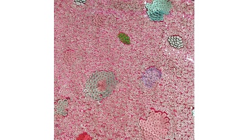 2021 new two-color Unique sequins velvet soft women's long velvet fabric for dress1