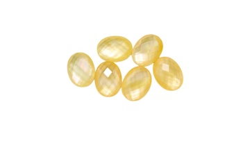 Low price good quality  natural flat bottom checker board Yellow shells1