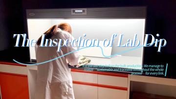 The Inspection of Lab Dip