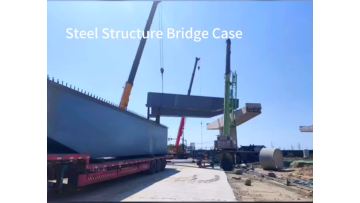 Steel Structure Bridge Case