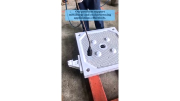 Video 31