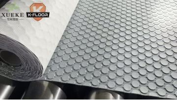 Pvc Matte Coin Floor Mat