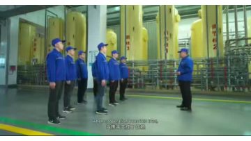 Customer-first principle