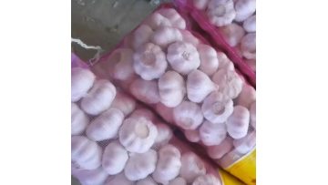 garlic processing 3