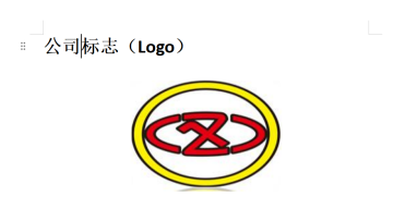 Corporate Video1