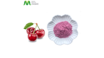Natural Food Supplement Tart Cherry Powder1