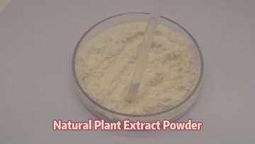 Pea Protein Isolate Powder