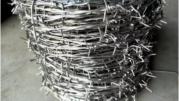 12 *14gauge Electro galvanized / Hot dipped galvanized double twisted barbed wire1