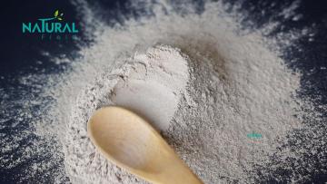Ginkgo Biloba Extract