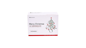 Christmas gift box