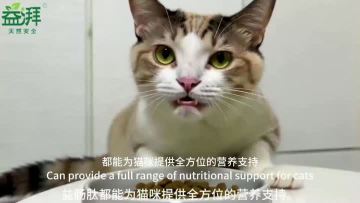 Pet Healing Supplements car