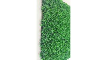 MA1  11728 golf grass