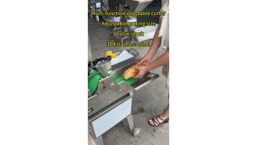 vegetable cutter Lotus root slicing machine