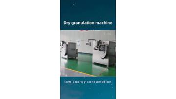 Dry granulation machine3