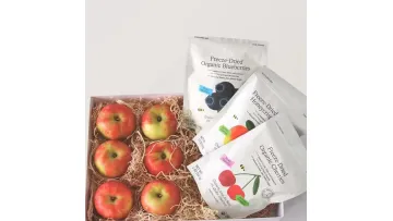 Custom Anti-Static PE Plastic Moisture-Proof Packaging Bag1