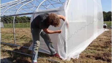Agricultural Single-Span Tunnel Plastic Film Greenhouse for Sale1