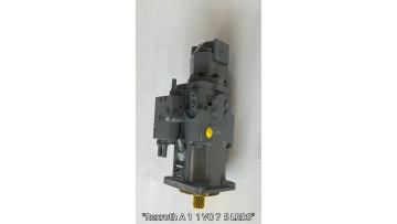 A11VO75LRDS/10R-NZD12K02
