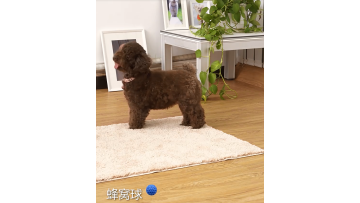 RUBBER SQUEAKY BALL TOY