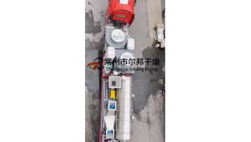 xsg (1)