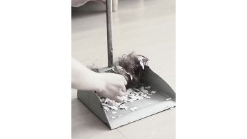 dustpan broom video 2