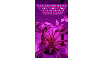 25w 45w LED plant panel light fill light patch 45W red blue white three-color full-light general plant growth lamp1