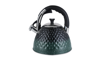 Stainless steel Green household stove-top kettle FH-693BG