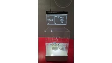 Fructo-oligossacharide