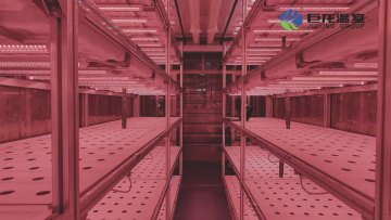 Smart shipping container greenhouse with Hydroponic System for Mushroom1
