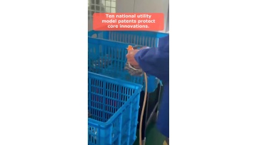 Video 22