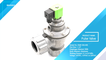DMF-ZM-40S 1 1/2'' Fixed Nut Dust Collector Solenoid Pulse Jet Diaphragm Valve 24V 110V 220V
