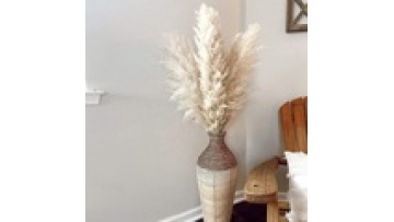 Factory Wholesale Boho Wedding Home Decor Natural Dried Pampas Grass1